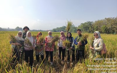 Ragam Kegiatan BPP Karanganyar: Gerdal WBC, Ubinan Padi, dan Penguatan Kelembagaan Petani