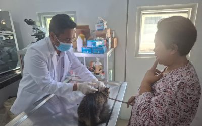 Upaya Cegah Penyakit, Dispertan PP Vaksinasi Rabies Gratis di Karanganyar