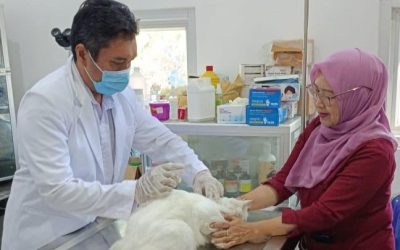 Vaksinasi Rabies Gratis untuk Hewan Peliharaan dalam Rangka Hari Rabies Sedunia di Karanganyar